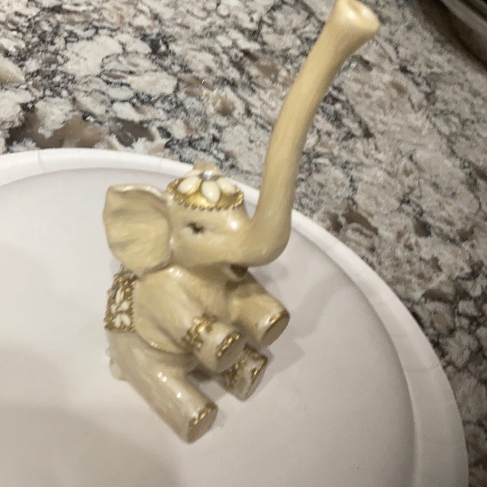 Ring holder